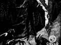 Born In Strange Shadow